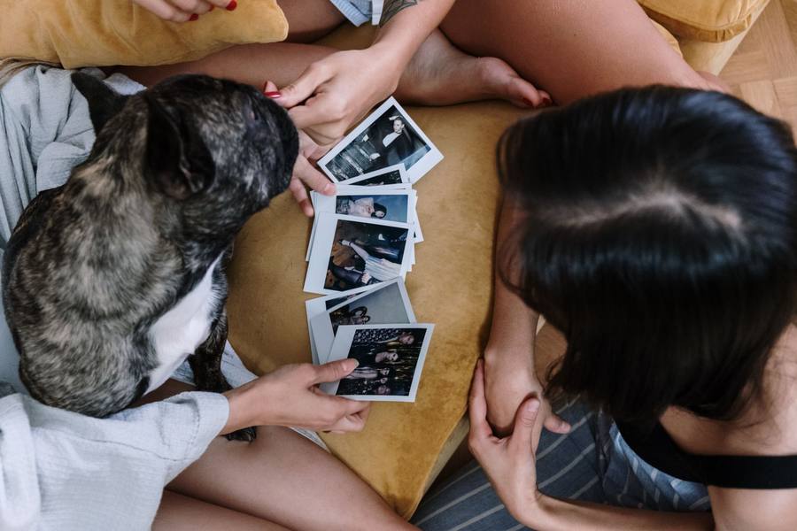How to make a pet memorial slideshow