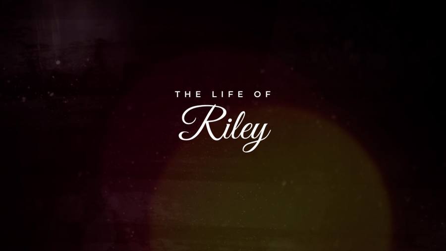 Pet Memorial Tribute: "Good Girl Forever" – Riley's Story 🐾